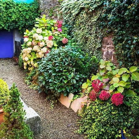 Bed & Breakfast Byrnes Wine Dine Ennistimon